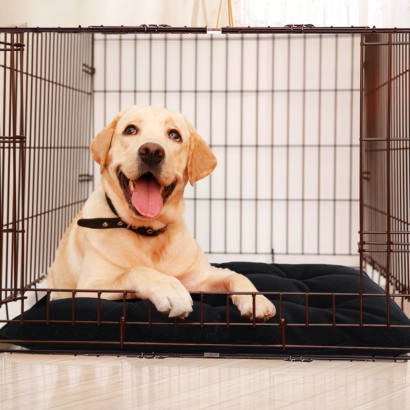 MABOZOO Dog Bed, Indestructible Chew Proof Pet Bed Mat, Durable