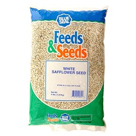 Blue Seal Feeds & Seeds Wild Bird White Safflower Seed 4 lb Bag