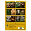 Mushrooms (Wall Calendar 2025 DIN A4 High), CALVENDO Monthly Calendar