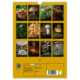 Mushrooms (Wall Calendar 2025 DIN A4 High), CALVENDO Monthly Calendar