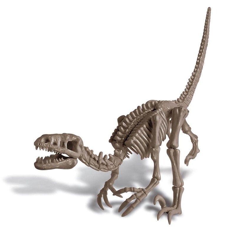 Kidzlabs 4M - Dig Velociraptor Kit