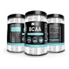 Bcaa Aminoacido 243 Servicios Pureza Eg J41