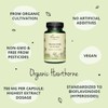 Hawthorn Berry Vegavero® | 700 mg Extract | 100% Organic
