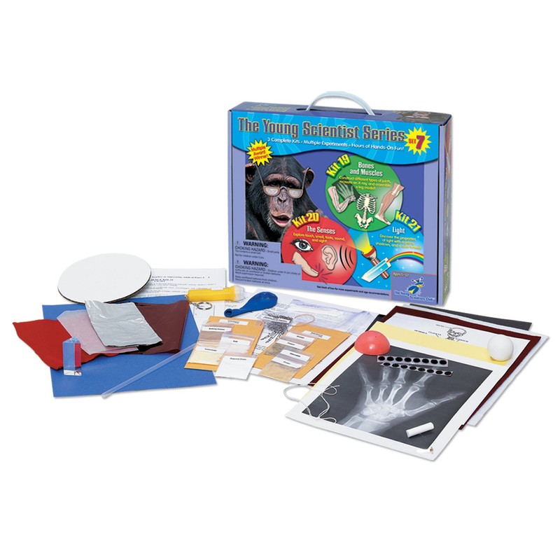 Young Scientists Series - Bones & Muscles, The Senses and