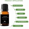 Cabana Diffuser Oil 10ml – Hotel Scents for Home Diffuser