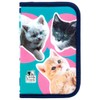 Cat 4-Piece Set School Backpack Bag School Bag Pencil Case