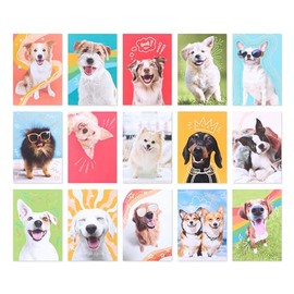 American Greetings Caja de surtido de tarjetas en blanco y sobres, perros divertidos, 15 unidades