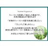 NOTO TEATREE OIL Essential Oil 0.2 fl oz (5 ml)