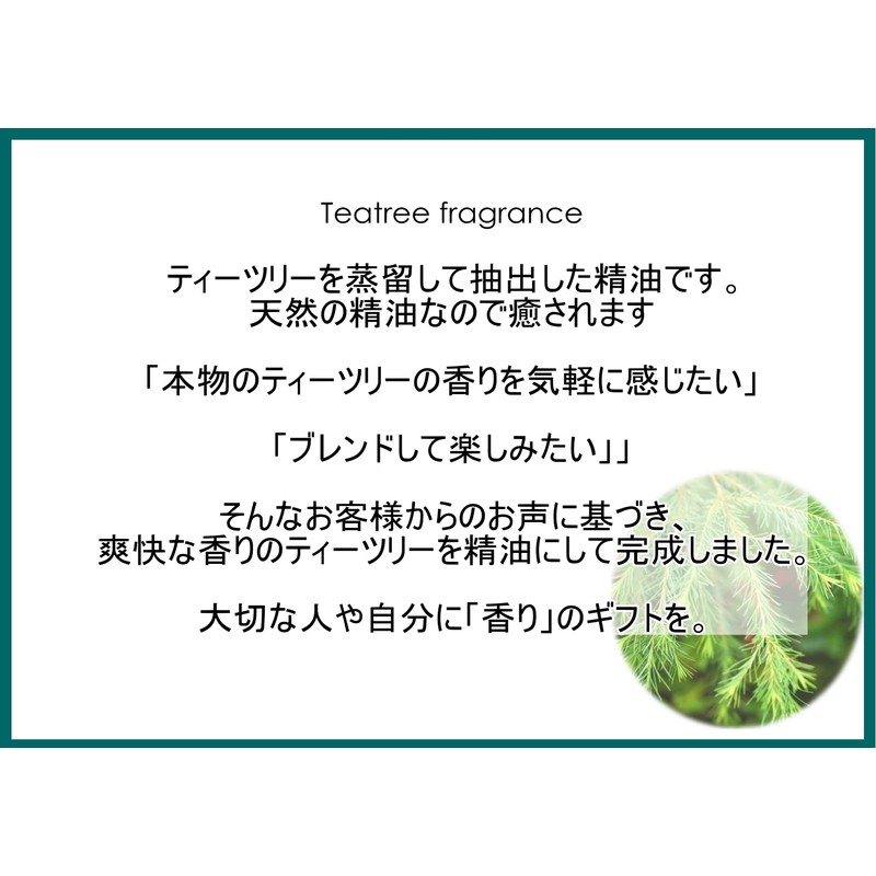 NOTO TEATREE OIL Essential Oil 0.2 fl oz (5 ml)