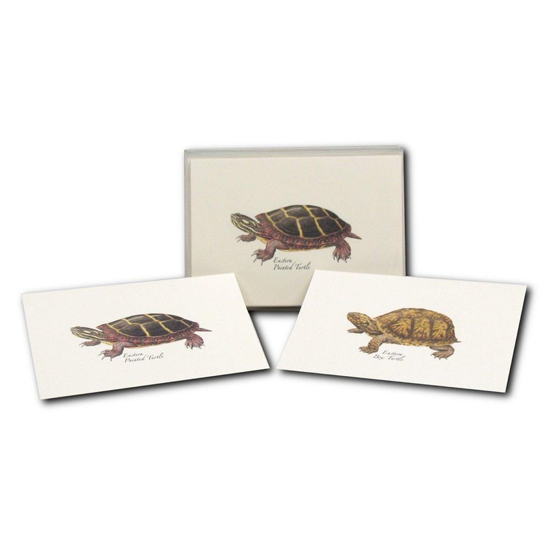Earth Sky + Water - Freshwater Turtle Assortment Notecard Set