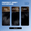 Clairol Lasting Colour Permanent Hair Dye | Ideal Grey Coverage
