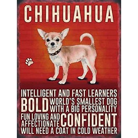 Vintage Style Retro Metal Sign Dog Lovers Owners Gift Tin Pedigree Dogs CHIHUAHUA
