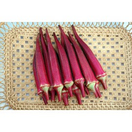 Seeds4planting - Seeds Alabama Red Okra (Bamia, Lady Finger) Heirloom Vegetable Non GMO