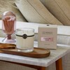 Archipelago Botanicals Charcoal Rose Boxed Candle, Fresh Rose and Charcoal,