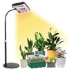 LBW Grow Light for Indoor Plants, Full Spectrum Desk LED