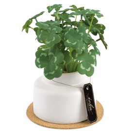 Kishima KH-61251 Artificial House Plants, Fake Green, Artificial Plants, Never Wither, Artificial Flowers, Green, Catalyst, Deodorizing, Antibacterial, Air Purifier, Clover, Medium Size