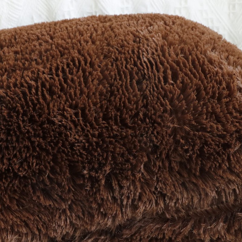 Sea Soft Lion Velvet Throw Pillow Case Cushion Cover Fashion