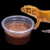 DERNORD Gecko Feeding Bowl Reptile Vivarium Plastic Bowls Feeder Water