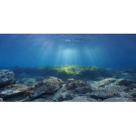 AWERT Ocean Floor Fish Tank Background Underwater Stone Aquarium Background 24x12 inches Vinyl
