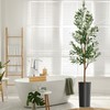 Artificial Tree in Black and White Striped Planter, Fake Olive