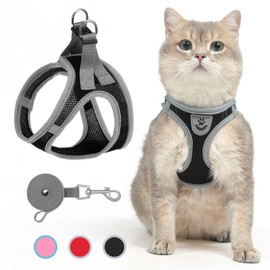 SCENEREAL Cat Harness and Leash Set Escape Proof, Adjustable Soft Air Mesh Kitten Harnesses for Girls Boys Small Medium Big Cats, Reflective Light Travel Pet Walking Vest for Puppy Rabbit, Black M