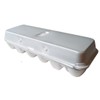 White 12-Egg Blank Styrofoam Carton - 50 Pack