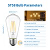 ANWIO Vintage Edison LED Lights ST58/ST19 LED Filament Lights Bulb,