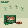 HEM Incense Night Queen Cone Type 1 Case (1 box