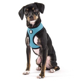 Furhaven Pet - Hands-Free Bungee Dog Leash, LED Collar and Leash Extender, Vehicle Safety Seat Belt Clip, Vest Harness, and More for Active Dogs and Cats - Multiple Colors, Styles, and Sizes