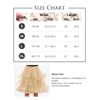 DRESSTELLS Tulle Skirts for Women, A Line Elastic Waist Tiered