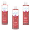 Shampoo Chile Shelo Nabel 530ml Piezas