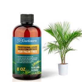 𝐏𝐑𝐄𝐌𝐈𝐔𝐌 Liquid Silica Plant Supplement - 8oz (250mL) - PALM TREE Plants Liquid Silica Boost Fertilizer - Stronger Stems & Healthy Leaves for Indoor & Outdoor Palm Tree Plants (Makes 45 Gallons)