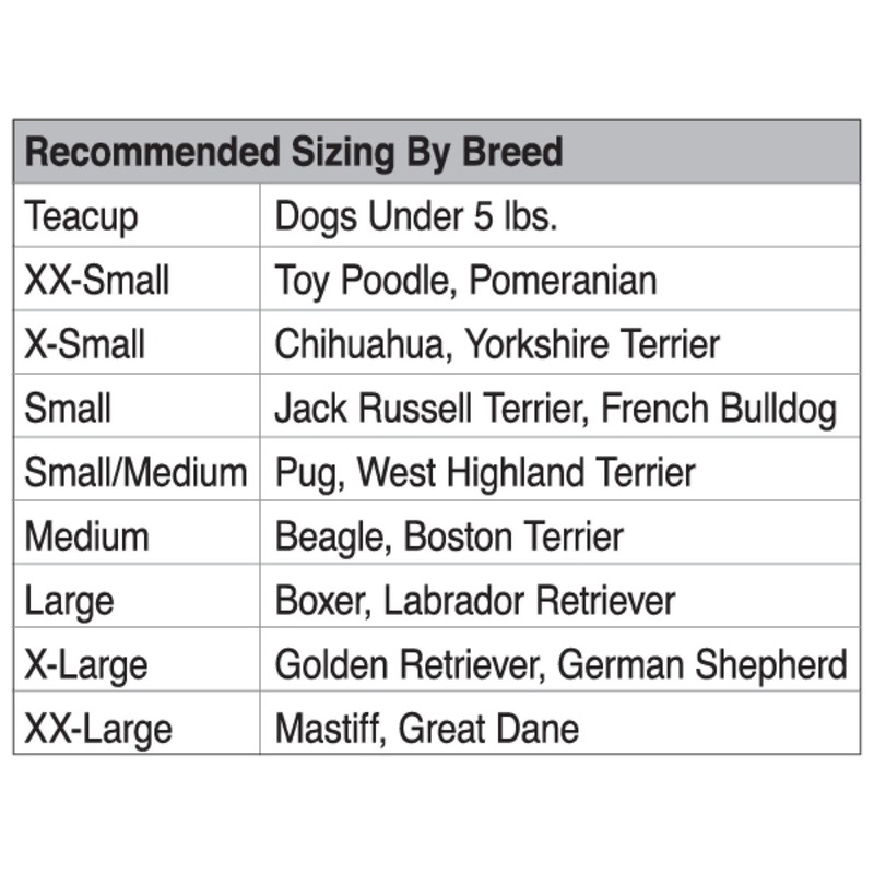 Casual Canine Basic Hoodie for Dogs, 24" XL, Green