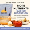 Sunrise Flour Mill USDA Organic Heritage Pasta Flour - 2
