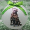 D196 Hand-made Christmas Ornament dog - Chesapeake Bay Retriever -