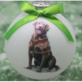 D196 Hand-made Christmas Ornament dog - Chesapeake Bay Retriever - smile sitting