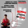 TESTROL. Creatina Platinum. Creatina, HMB y Beta Alanina. Rendimiento Deportivo
