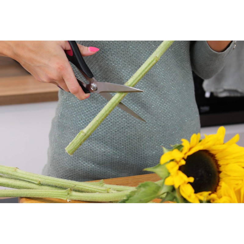 Heavy Duty All Purpose Scissor - Sabatier Professional 25cm/10”. Soft