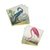 Caspari Audubon Birds and Flamingo Paper Cocktail Napkins, Two Packs