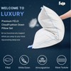 felo Feather Down Pillow Queen Size, CloudFusion Goose Down Pillow
