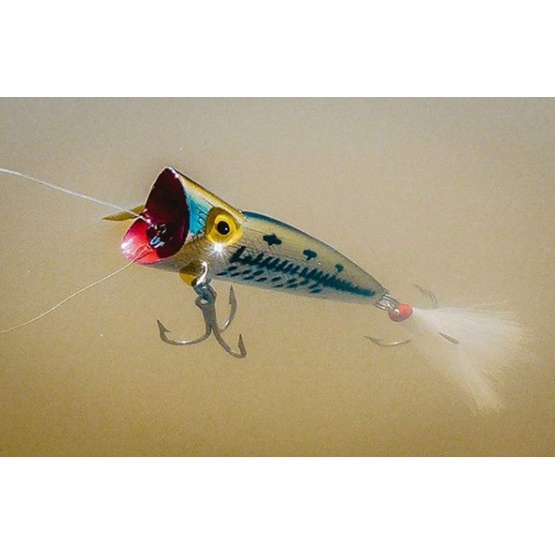 Rebel Lures Pop-R Topwater Popper Fishing Lure, Silver/Blue, Pop-R (1/4