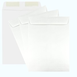 100 Cashier Depot 10" x 13" Catalog Envelope, Durable 28lb White, Deep Gum Flap, 100 Envelopes