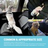 CARPET Belt | Premium Pet Seat Belt | Car Seat