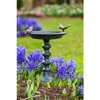 Evergreen Hummingbird Metal Bird Bath Bowl with Stand - Heavy