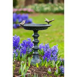 Evergreen Hummingbird Metal Bird Bath Bowl with Stand - Heavy Duty, Ground Standing Bird Bath and Feeder for Garden, Yard, Deck