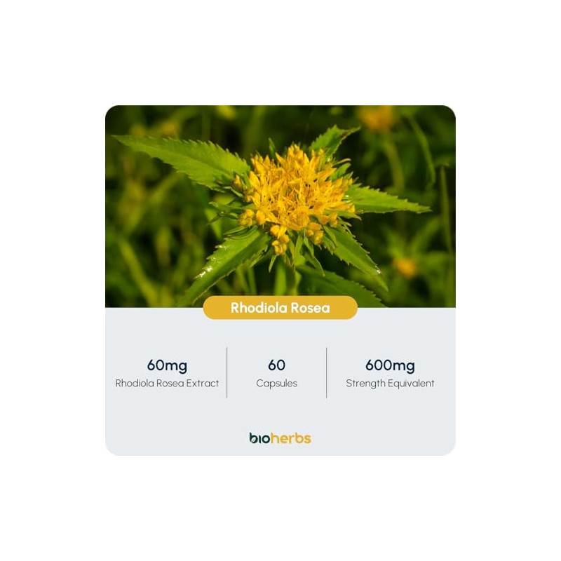 Rhodiola Rosea Capsules High Strength - 600mg 3% Rosavins 1%