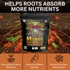 Xtreme Gardening Mykos 1 lb – Mycorrhizal Fungi Root Stimulator