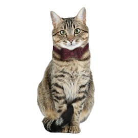 Cat Collar Breakaway with Bowtie Bell, Red Bling Kitten Collar with Removable Cat Bowtie Collar for Kitty Cat (7.4-10.8 inch)
