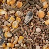 MEZCLA DE SEMILLAS P/HAMSTER 1 KG