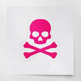 Decal Stickers of Crossbones Death Skull Danger Poison (Pink) (Set of 2) Premium Waterproof Vinyl Decal Stickers for Laptop Phone Accessory Helmet Car Window Mug Tuber Cup Door - ANDstic881023PI
